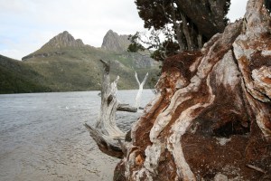 Doe Lake framed by Cradle Mountain