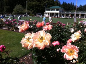 Queenstown Bowls Club