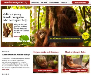 Save the orangutan - Julie