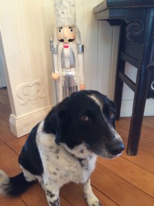 Molly and the Nutcracker
