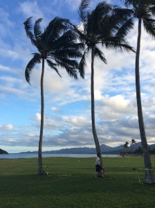 Windward Coast of Oahu