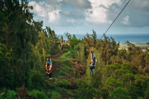 Climb Works Zipline