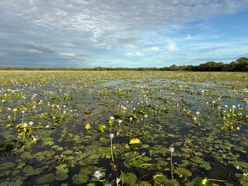 How to spend a long weekend in&nbsp;Kakadu