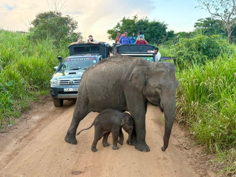 How to spend a week in Sri&nbsp;Lanka